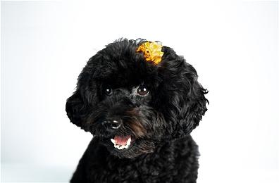 多结局逃生冒险《残音系少年少女》试玩版推出 